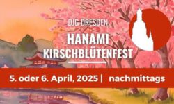 hanami picknick 2025 djg dresden