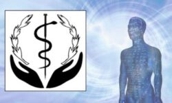 Praxis für Akupunktur - Japanische Akupunktur Sonja Topp in Dresden