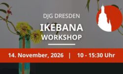 Ikebana Workshop DJG Dresden im November 2026